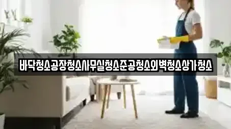 바닥청소공장청소사무실청소준공청소외벽청소상가청소