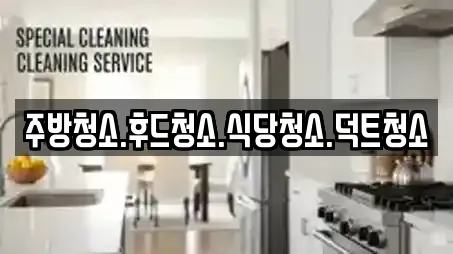 주방청소.후드청소.식당청소.덕트청소