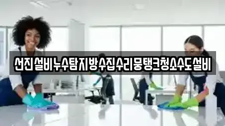 선진설비누수탐지방수집수리뭉탱크청소수도설비