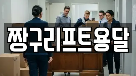 짱구리프트용달