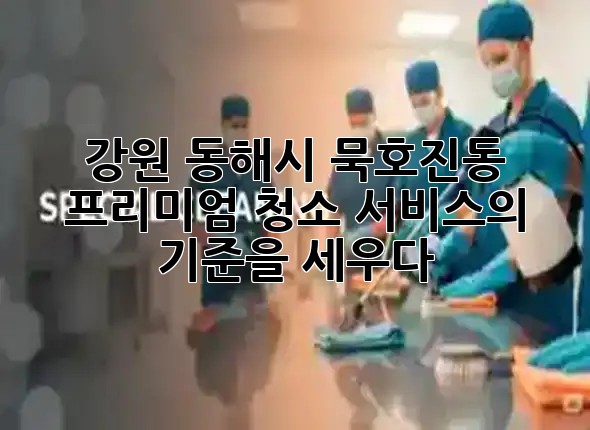 강원 동해시 묵호진동, 프리미엄 청소 서비스의 기준을 세우다 ✨