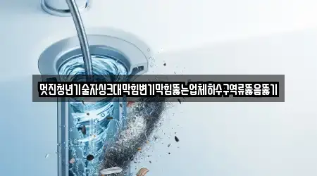 멋진청년기술자싱크대막힘변기막힘뚫는업체하수구역류뚫음뚫기