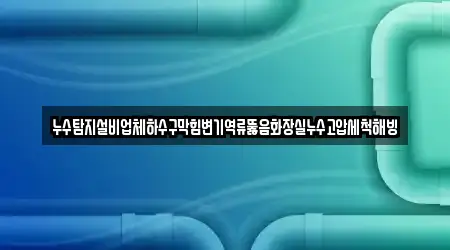 누수탐지설비업체하수구막힘변기역류뚫음화장실누수고압세척해빙