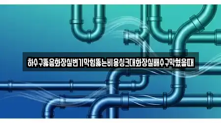 하수구뚫음화장실변기막힘뚫는비용싱크대화장실배수구막혔을때
