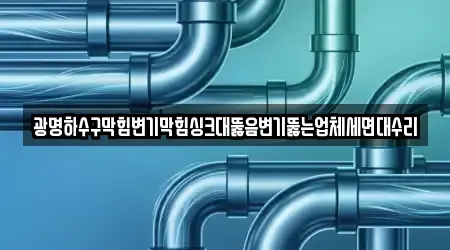 광명하수구막힘변기막힘싱크대뚫음변기뚫는업체세면대수리