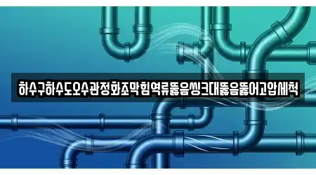 하수구하수도오수관정화조막힘역류뚫음씽크대뚫음뚫어고압세척