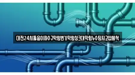 대전24시뚫음이하수구막힘변기막힘싱크대막힘누수탐지고압세척