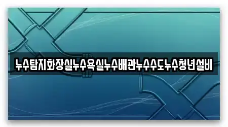 누수탐지화장실누수욕실누수배관누수수도누수청년설비