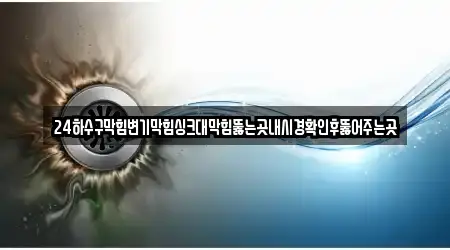 24하수구막힘변기막힘싱크대막힘뚫는곳내시경확인후뚫어주는곳