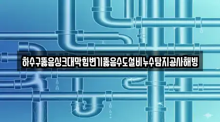 하수구뚫음싱크대막힘변기뚫음수도설비누수탐지공사해빙