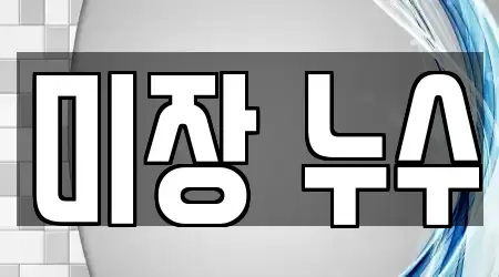미장 누수