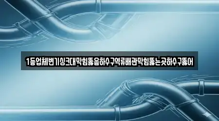1등업체변기싱크대막힘뚫음하수구역류배관막힘뚫는곳하수구뚫어