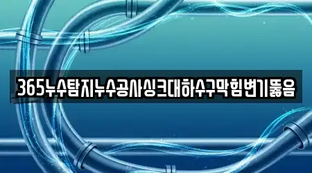 365누수탐지누수공사싱크대하수구막힘변기뚫음