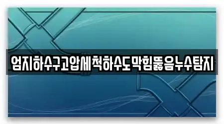 엄지하수구고압세척하수도막힘뚫음누수탐지