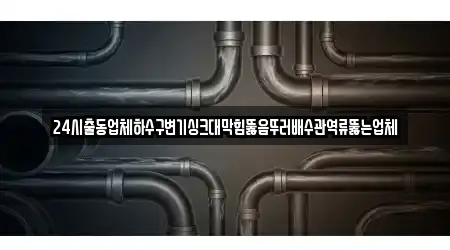 24시출동업체하수구변기싱크대막힘뚫음뚜러배수관역류뚫는업체