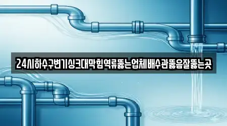 24시하수구변기싱크대막힘역류뚫는업체배수관뚫음잘뚫는곳