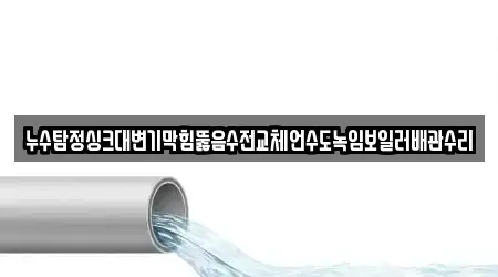 누수탐정싱크대변기막힘뚫음수전교체언수도녹임보일러배관수리