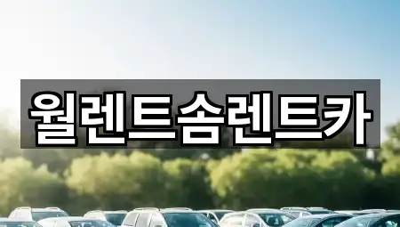 월렌트솜렌트카