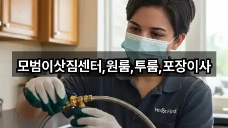 모범이삿짐센터,원룸,투룸,포장이사