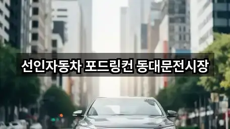 선인자동차 포드링컨 동대문전시장