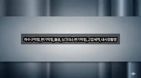 하수구막힘,변기막힘,뚫음,싱크대소변기막힘,고압세척,내시경촬영