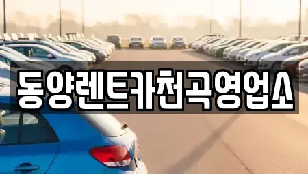 강원특별자치도 동해시 묵호진동 렌트카 전문 동양렌트카천곡영업소