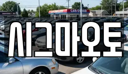 경기 부천시 소사구 단기렌트카 전문 시그마오토