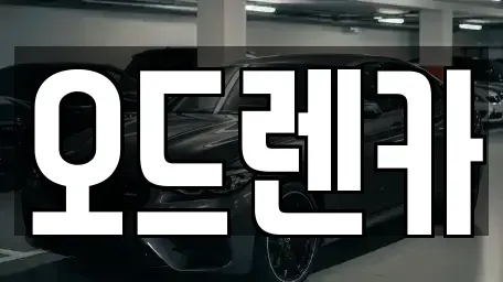 경기 부천시 소사구 단기렌트카 전문 오드렌카