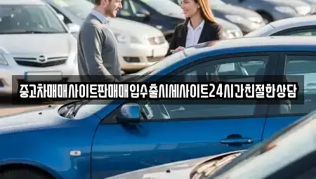 경기 시흥시 능곡동 중고차 전문 중고차매매사이트판매매입수출시세사이트24시간친절한상담