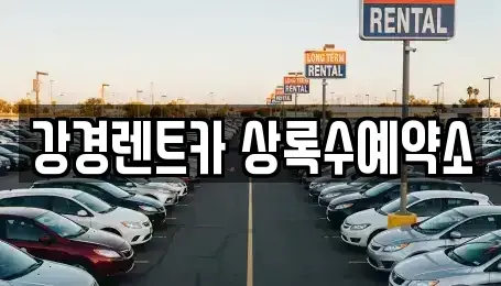 경기 안산시 상록구 렌트카 전문 강경렌트카 상록수예약소