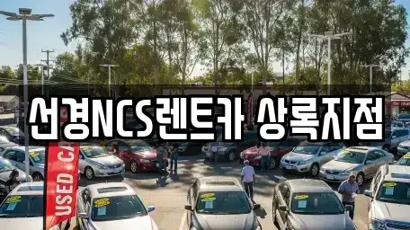 경기 안산시 상록구 렌트카 전문 선경NCS렌트카 상록지점