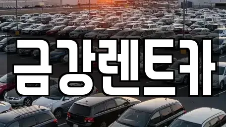 경기 화성시 반정동 렌트카 전문 금강렌트카