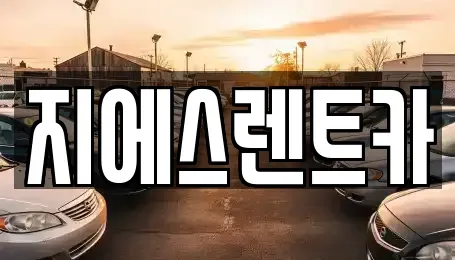 경기 화성시 반정동 장기렌트카 전문 지에스렌트카