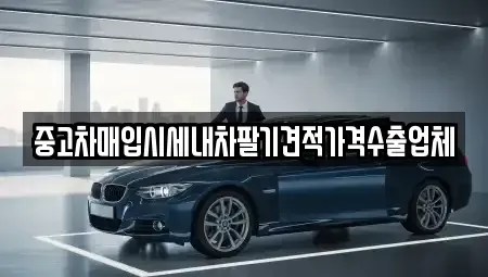 경기 화성시 반정동 중고차 전문 중고차매입시세내차팔기견적가격수출업체