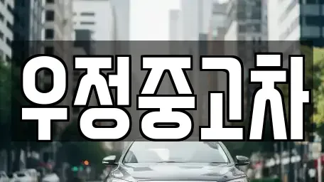 경기도 고양시 일산동구 산황동 중고차매매 전문 우정중고차