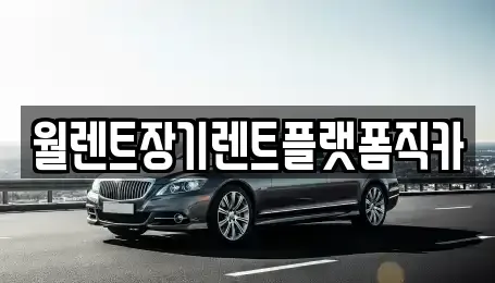 경기도 용인시 처인구 장기렌트카 전문 월렌트장기렌트플랫폼직카