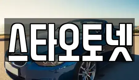 경기도 용인시 처인구 중고차매매 전문 스타오토넷