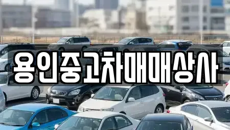 경기도 용인시 처인구 중고차매매 전문 용인중고차매매상사