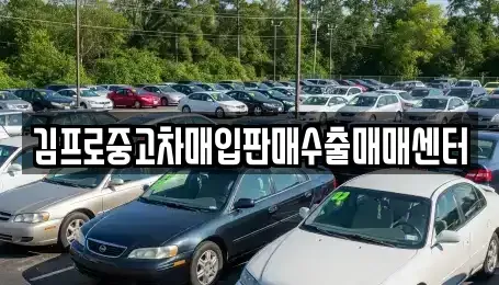 경기도 용인시 처인구 중고차매입 전문 김프로중고차매입판매수출매매센터