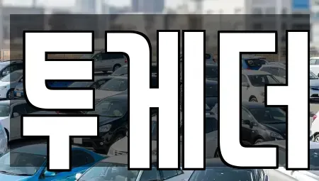 경북 포항시 북구 장성동 중고차 전문 투게더