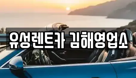 경상남도 김해시 흥동 렌트카 전문 유성렌트카 김해영업소