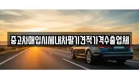 경상남도 함양군 안의면 중고차 전문 중고차매입시세내차팔기견적가격수출업체