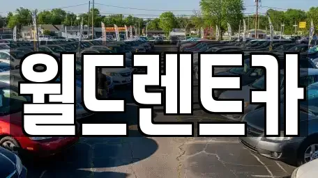 경상북도 안동시 당북동 렌트카 전문 월드렌트카