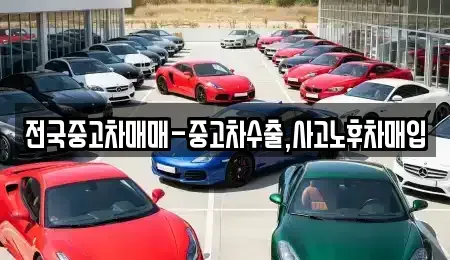 경상북도 안동시 당북동 중고차 전문 전국중고차매매-중고차수출,사고노후차매입