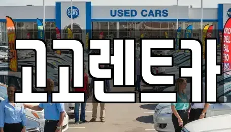 대구광역시 달서구 렌트카 전문 고고렌트카