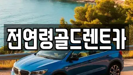 대구광역시 달서구 렌트카 전문 전연령골드렌트카