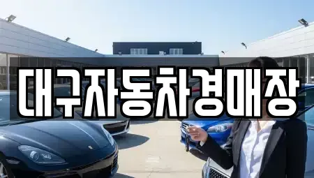 대구광역시 달서구 중고차매매 전문 대구자동차경매장