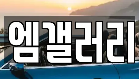 대구광역시 달서구 중고차매매 전문 엠갤러리