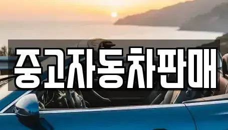 부산광역시 금정구 회동동 중고차매매,단기렌트카,중고차매입,장기렌트카,중고차,렌트카