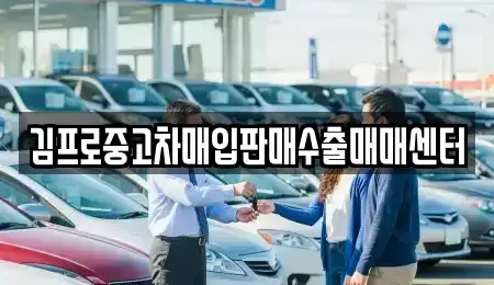 부산광역시 사하구 다대동 중고차 전문 김프로중고차매입판매수출매매센터